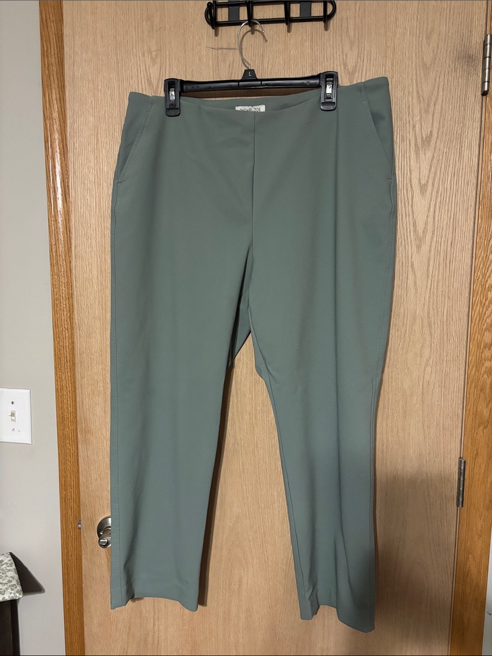 Rachel Zoe Straight-Leg Ankle Pants in Sage Green